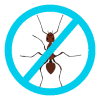 Ant Control Ant Control