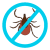 Carpet Beetle Control Ranga Pest Control